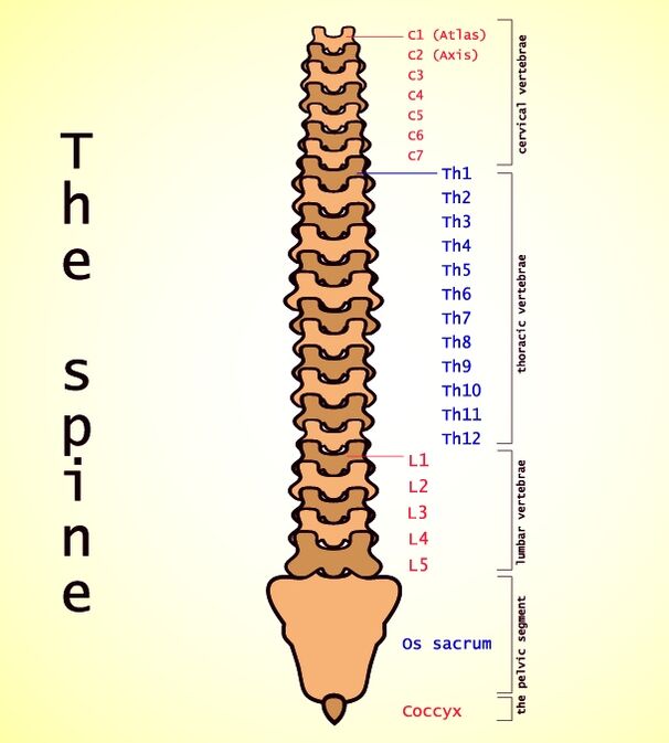 bedrová osteochondróza